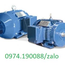 Motor chân đế Aurora