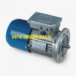 STM motor chính hãng