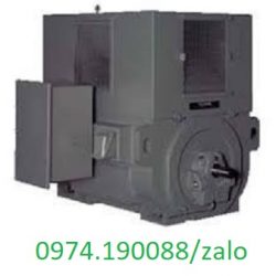 Toshiba motor điện trung thế