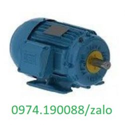 Motor chân đế 2HP châu Âu