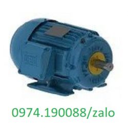 Động cơ chân đế 10HP châu Âu