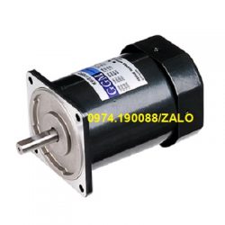 Động cơ điện mini 100v