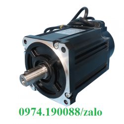 Motor Servo Bergerda