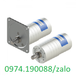 TG-85C-AMD-10-F145 motor 24VDC