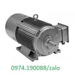 Yibusimo motor chân đế