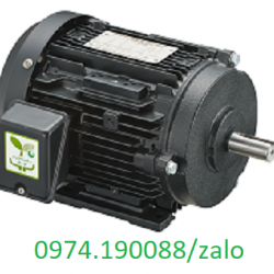 Động cơ QM chân đế