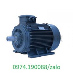 Leadgo motor chính hãng