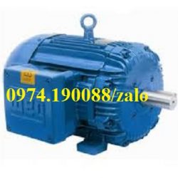 Weg động cơ chân đế chính hãng