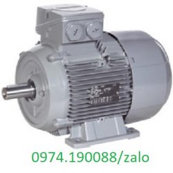 Motor Shine wei chính hãng