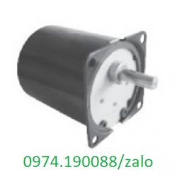 TY70-30-A động cơ Linix chính hãng