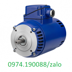 Groschop motor chính hãng