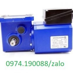 Groschop động cơ liền giảm tốc