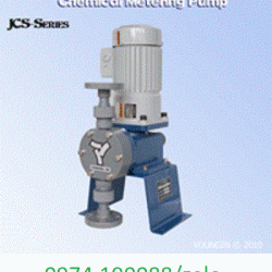 Young in pump chính hãng