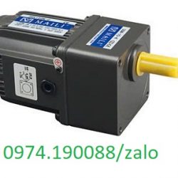 Maili motor giảm tốc chính hãng