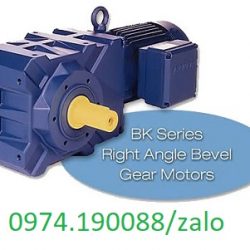 Emberhard Bauer motor giảm tốc