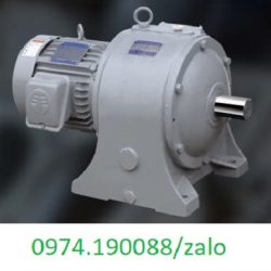 Dongshin motor giảm tốc