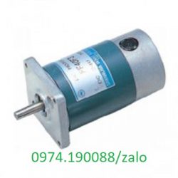 SS23F-H2R-100 motor giảm tốc