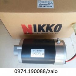 Động cơ điện Nikko